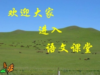 罗布泊消逝的仙湖1