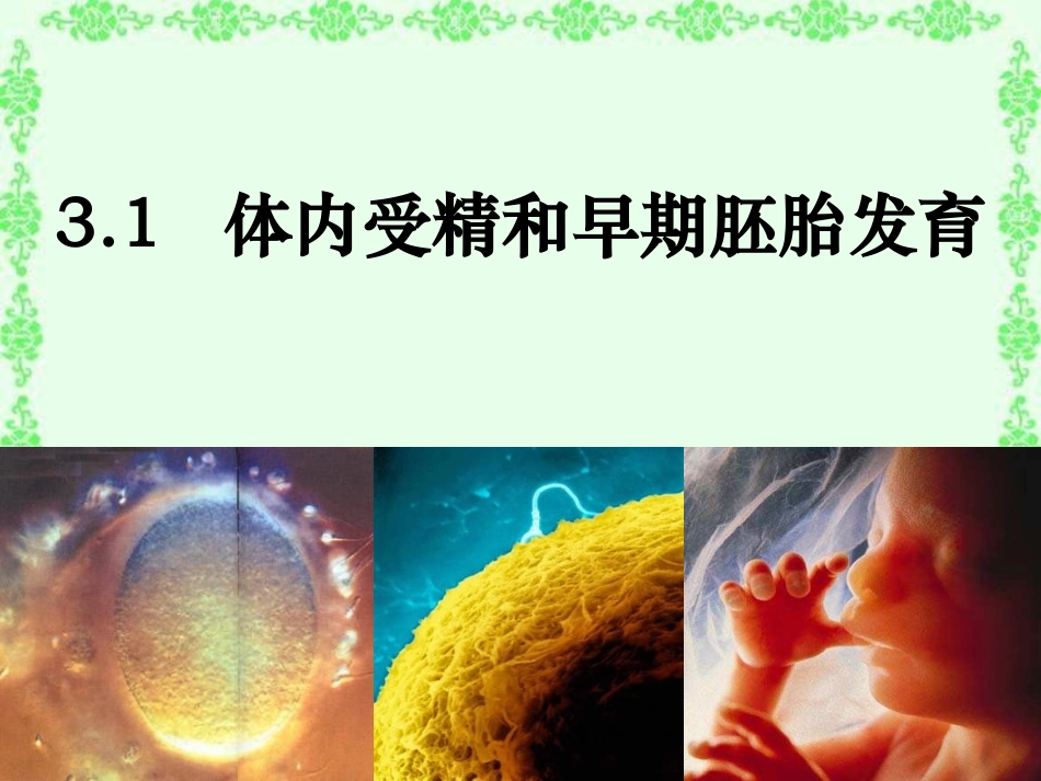 体内受精和早期胚胎发育_第3页