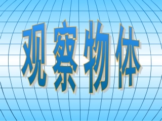 观察物体课件