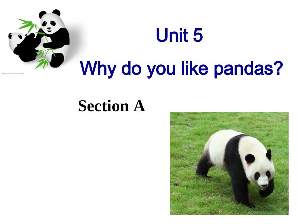 新目标英语七年级下册unit5_why_do_you_like_pandas_课件1_第1页