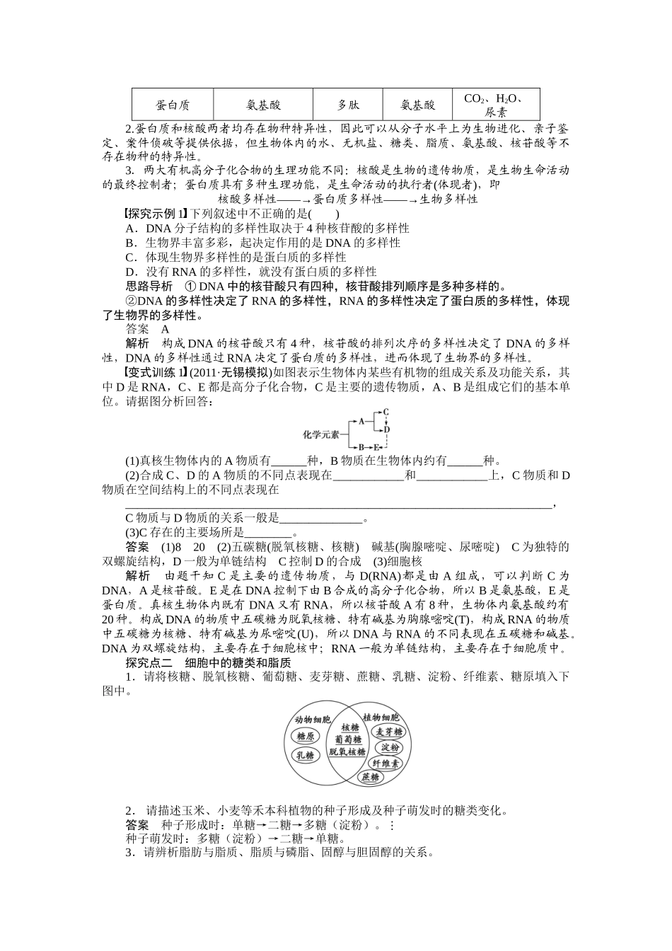 遗传信息的携带者——核酸细胞中的糖类和脂质_第3页