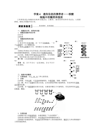遗传信息的携带者——核酸细胞中的糖类和脂质