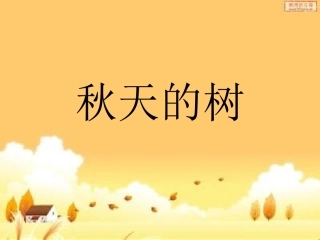 秋天的树实物_PPT