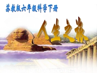 人生之旅课件