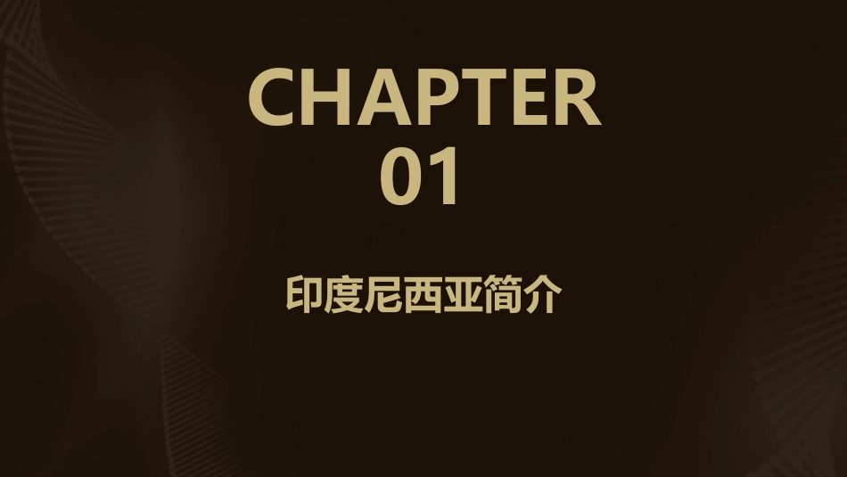 印度尼西亚概况简介教学课件_第3页