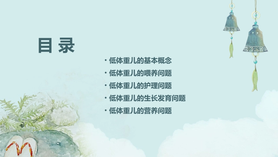 低体重儿的十大问题课件_第2页
