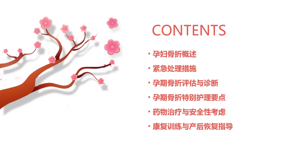 孕妇骨折的特别护理建议_第2页