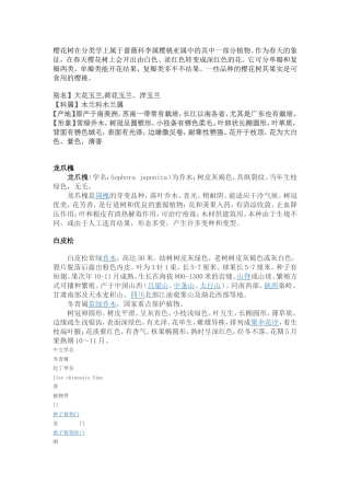 樱花树在分类学上属于蔷薇科李属樱桃亚属中的其中一部分植物