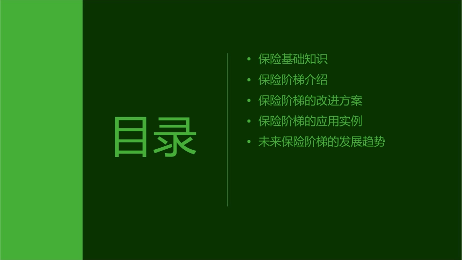保险阶梯改进版课件1_第2页