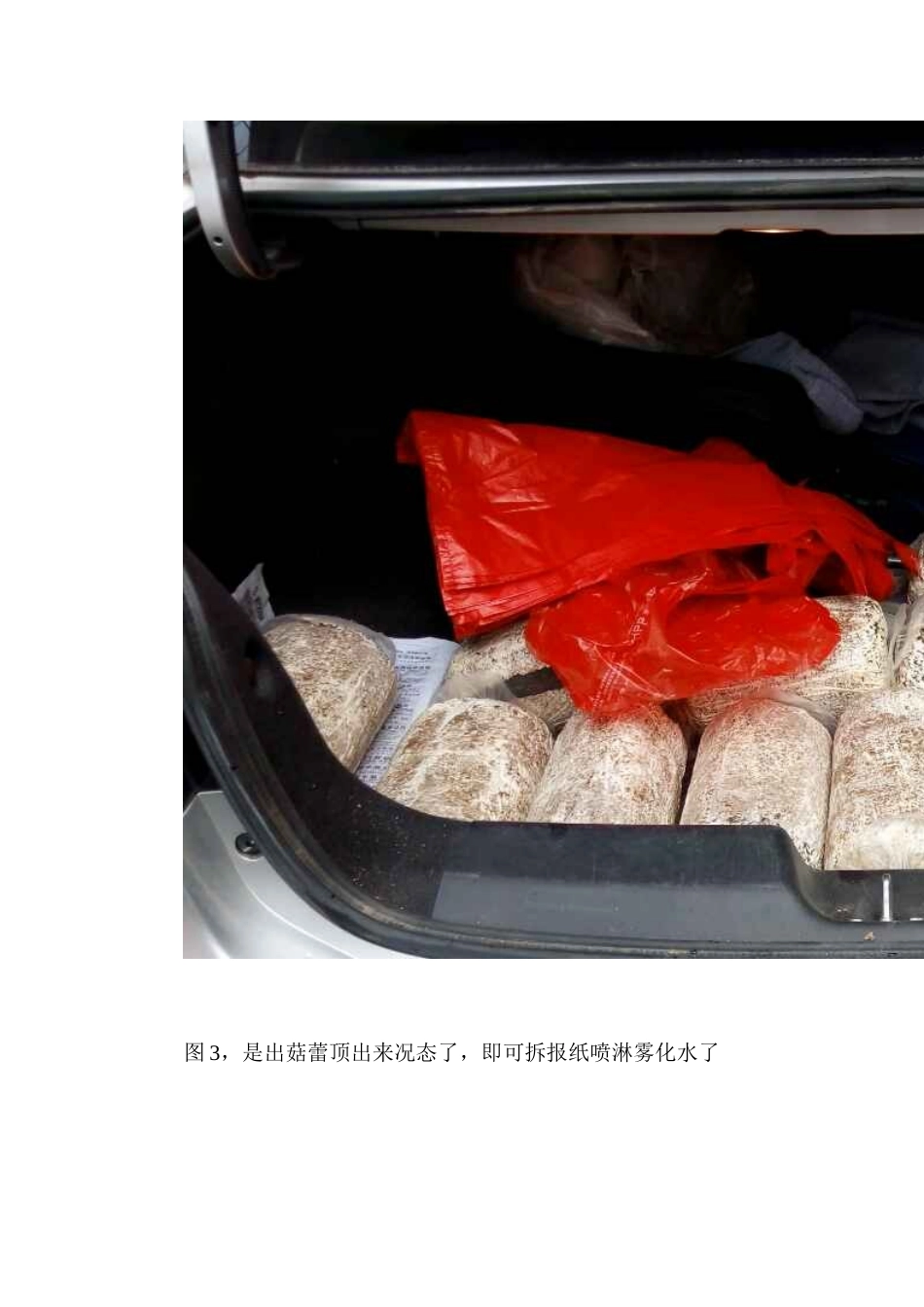 食用菌棒（蘑菇棒）栽培简易培训教程20150409_第3页