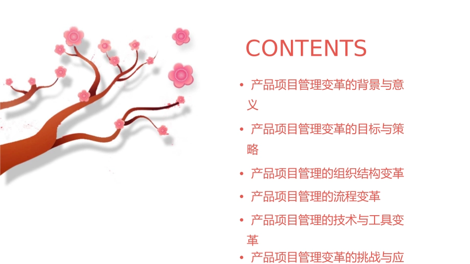 产品项目管理变革课件1_第2页