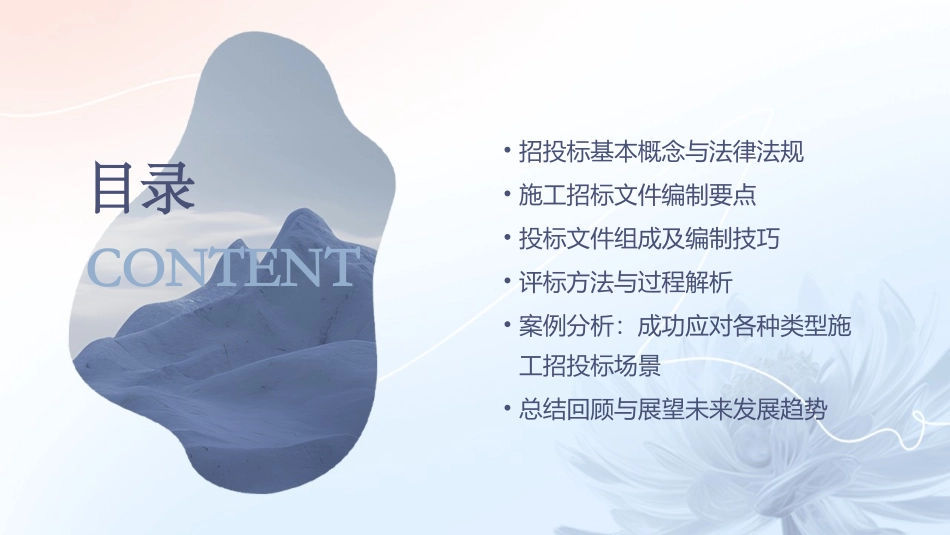 建设工程施工招投标课件_第2页