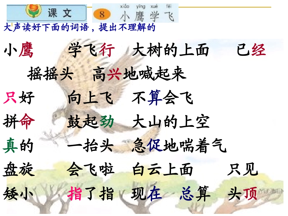 小鹰学飞第一二课时_第3页