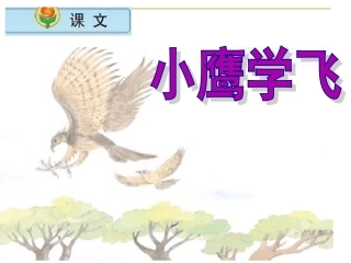 小鹰学飞第一二课时