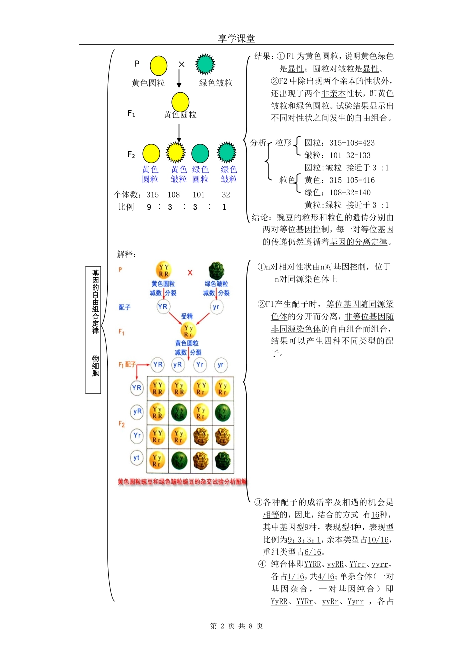 遗传的基本定律(复习)_第2页