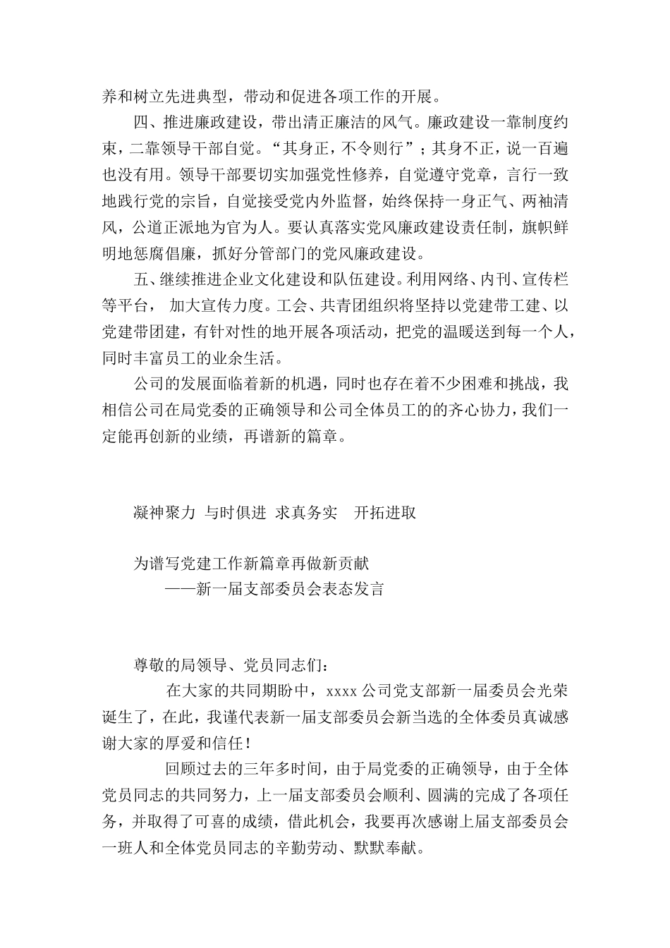 新一届党支部表态发言模板_第2页