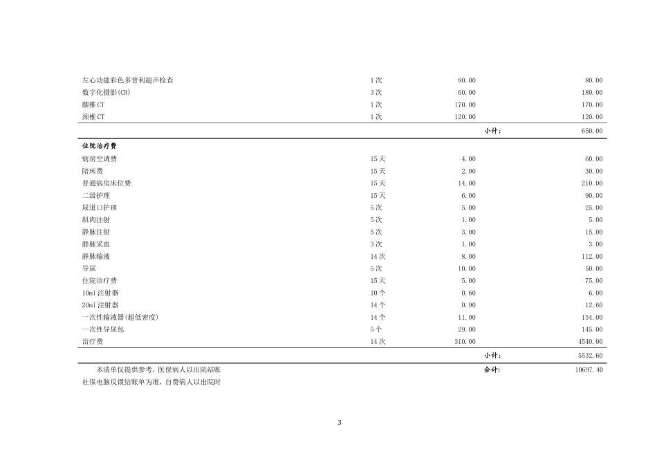 XXX住院费用明细表_第3页