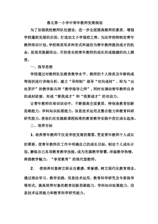 中青年教师培养计划