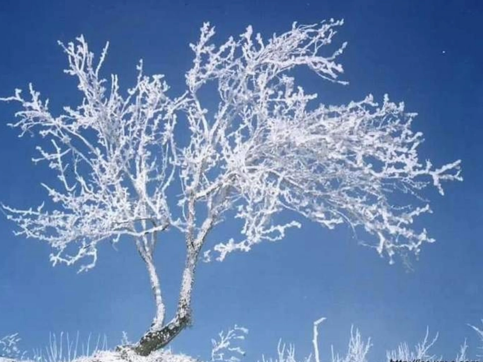 物态变化之升华与凝华_第3页