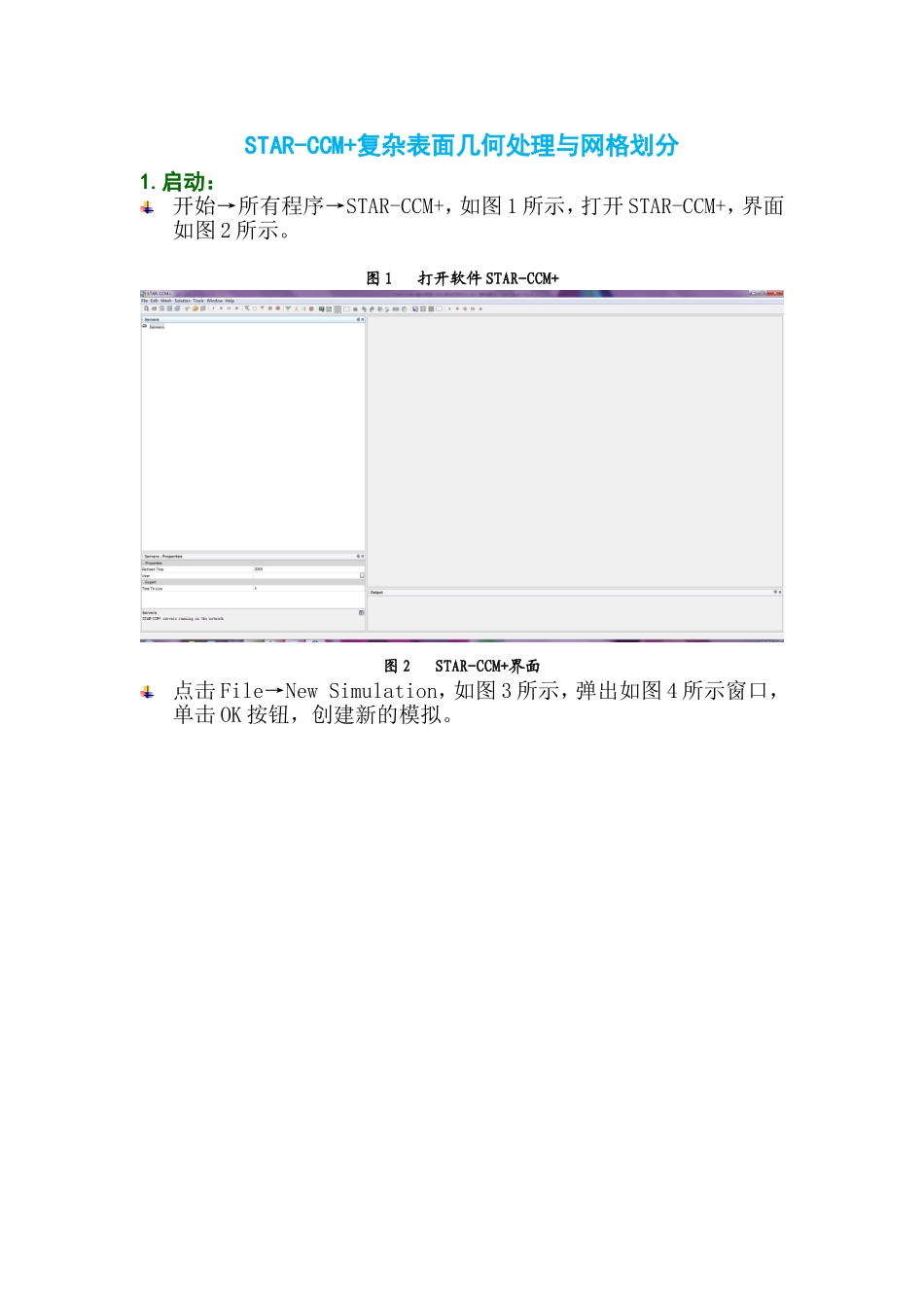 STAR-CCM+复杂表面几何处理与网格划分_第1页