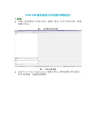 STAR-CCM+复杂表面几何处理与网格划分