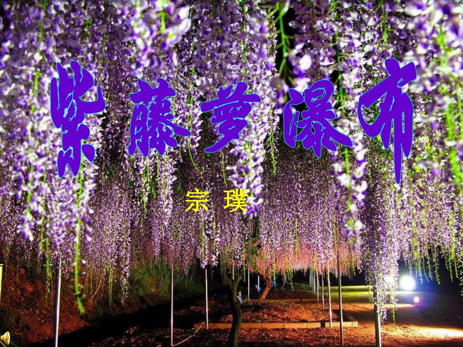 紫藤萝瀑布王娟红_第2页