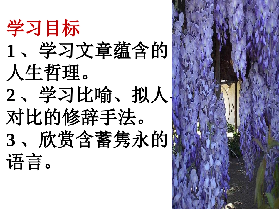 紫藤萝瀑布王娟红_第3页