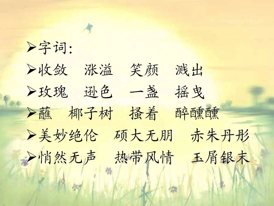 三亚落日课件_第2页