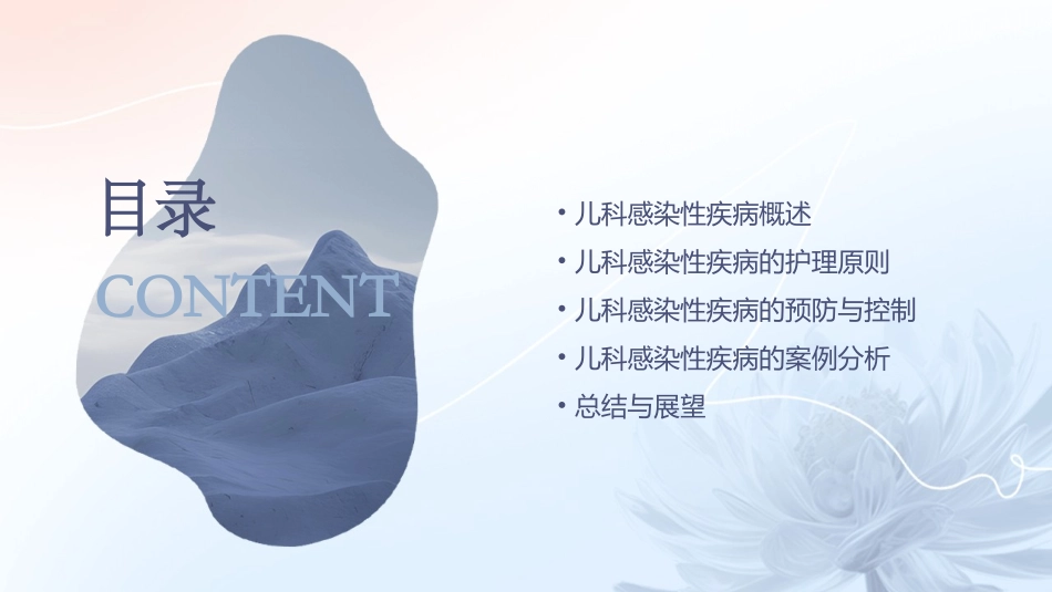 儿科感染性疾病护理课件_第2页