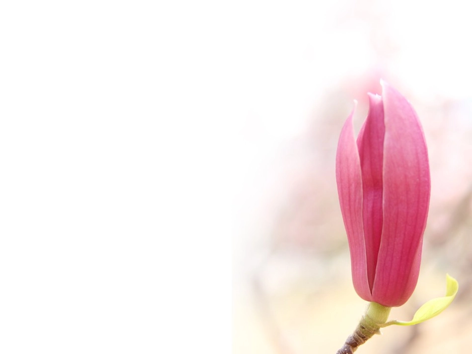 模板大搜集4271_第3页