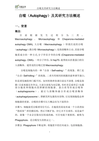 自噬及其研究方法