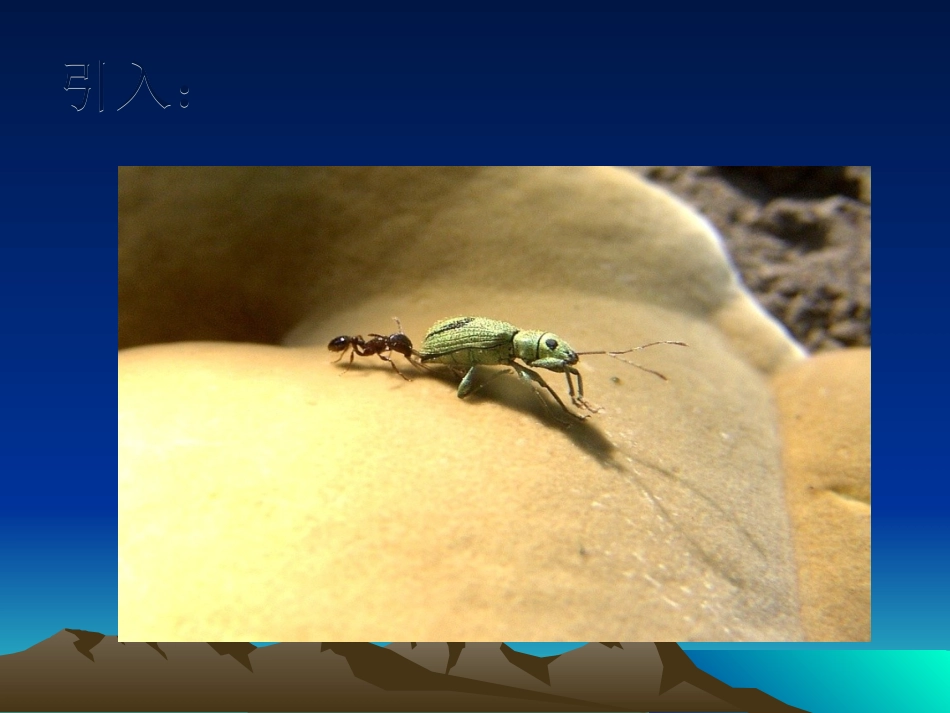 第八章摩擦力_第2页