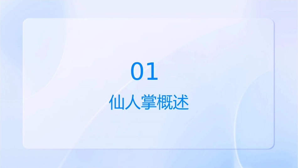 仙人掌与大黄概要课件1_第3页