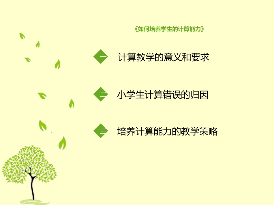 《如何培养学生的计算能力》专题讲座_第2页