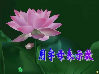 用字母表示数 (5)