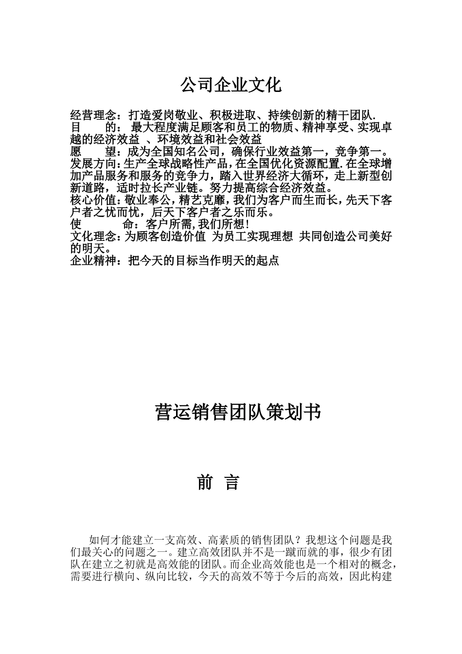 销售团队计划书_第1页