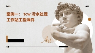 案例一TCW污水处理工作站工程课件