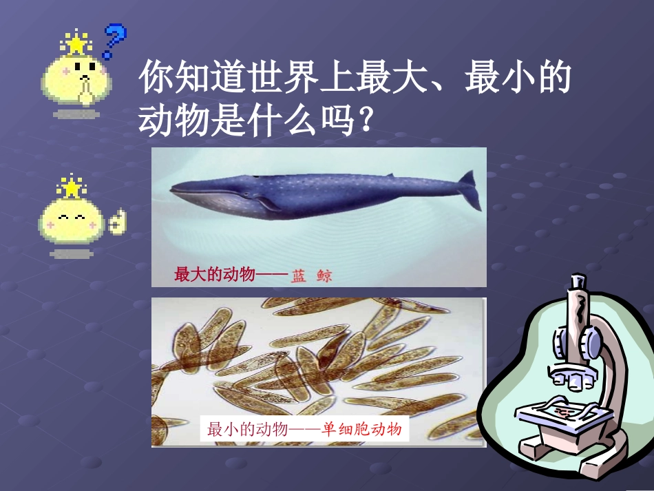 单细胞生物课件0_第1页