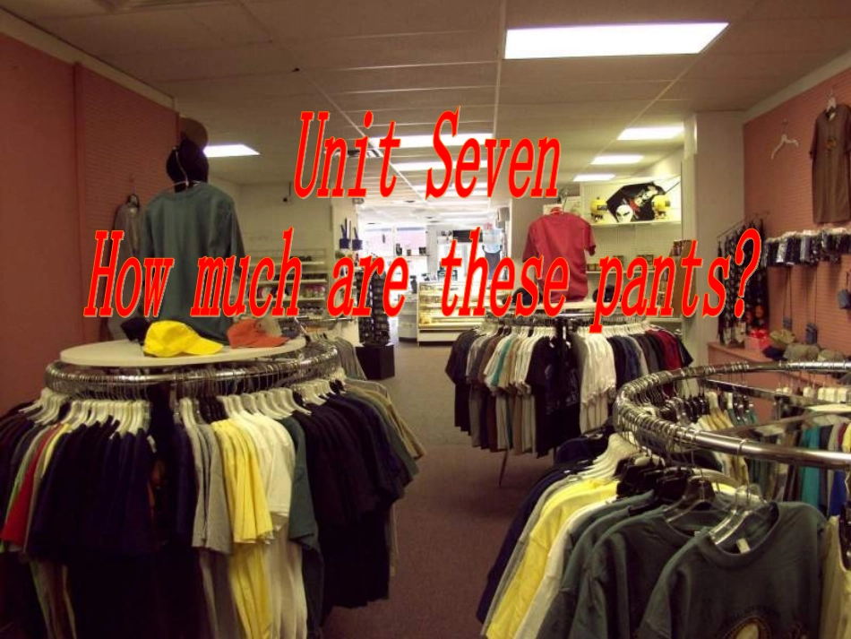 英语七年级上unit7_第2页