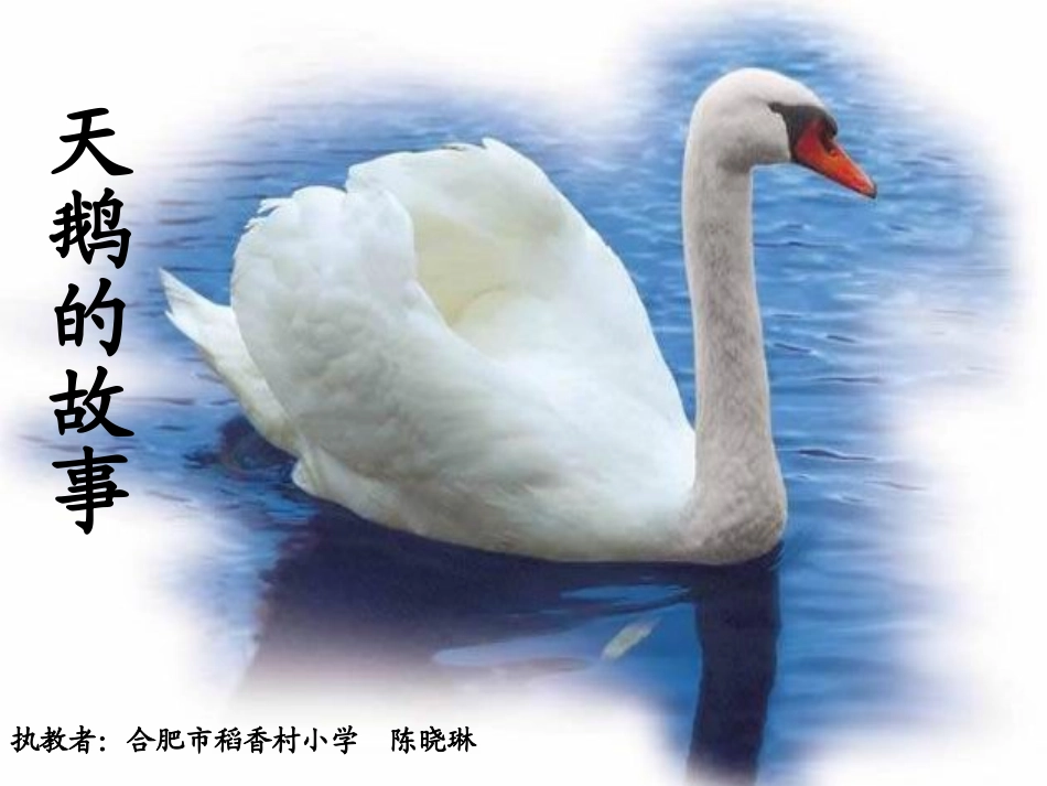 天鹅的故事（定稿）_第1页