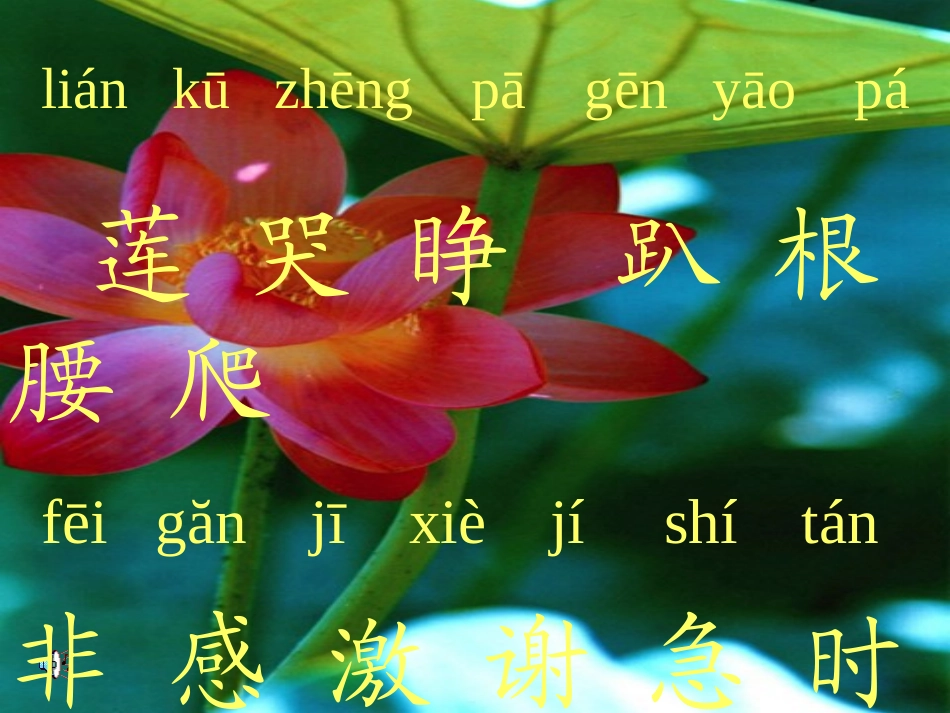 《夏夜多美》课件11()_第2页