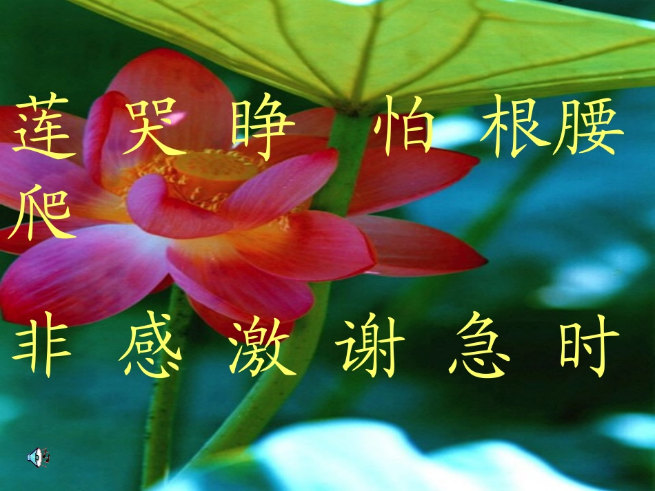 《夏夜多美》课件11()_第3页