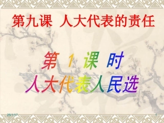 （九）第1课时人大代表人民选