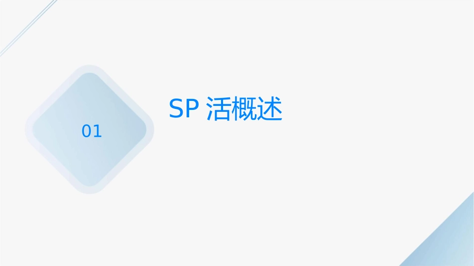 东风本田SP活动方案课件1_第3页