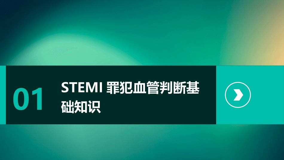 STEMI罪犯血管判断护理课件_第3页
