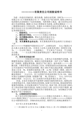 ++++有限责任公司招股说明书