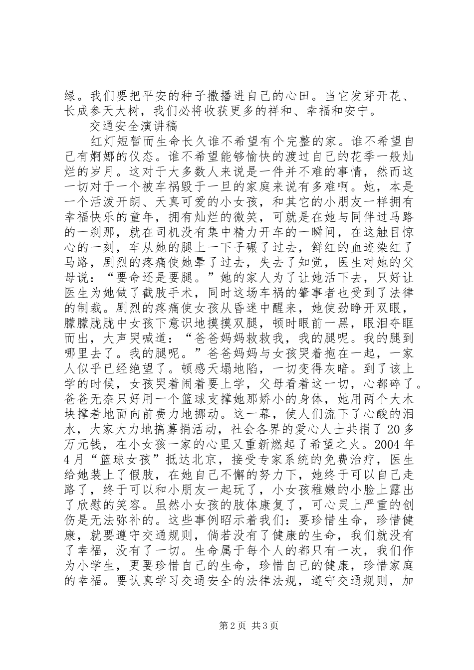 交通安全演讲致辞1_第2页