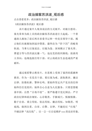 政治掮客苏洪波-观后感