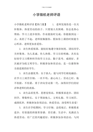 小学微机老师评语