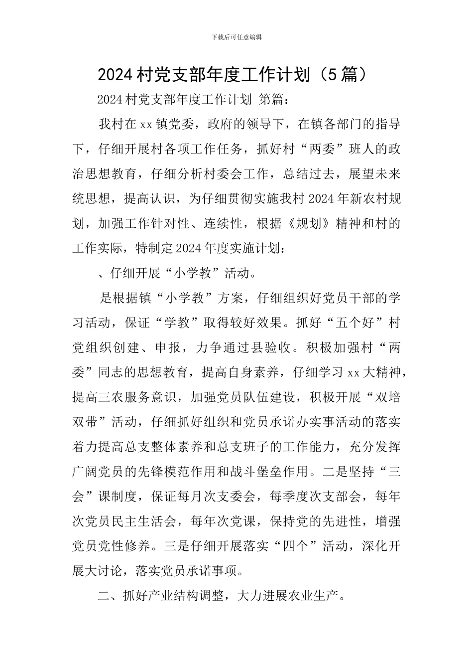 2024村党支部年度工作计划_第1页